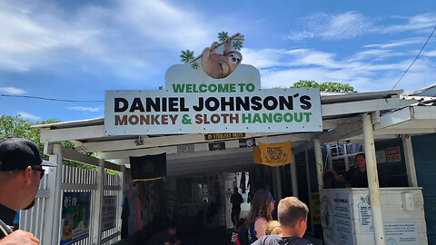 Daniel Johnson's Monkey & Sloth Hangout
