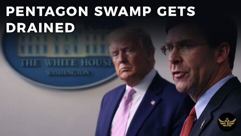Pentagon swamp gets drained. CIA & FBI swamp draining next?