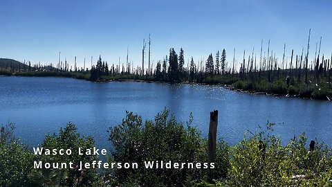 BITE SIZED WILDS | Trail Perspective of SPARKLING SAPPHIRE BRILLIANT BLUE Wasco Lake! | 4K | Oregon