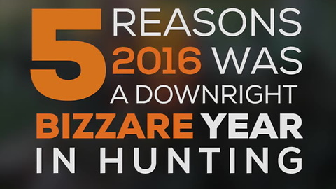 5 Reasons 2016 Was a Downright Bizarre Year in Hunting