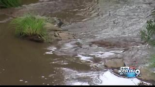 Chandler man survives Payson flash flood that claimed 9, 1 still missing