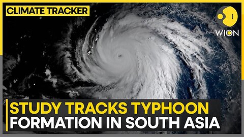 Climate change is raisin intensity of typhoon | WION Climate Tracker| RN