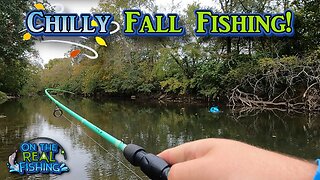 Creek Fishing with Floating Minnows and Grubs on a Chilly Fall Morning