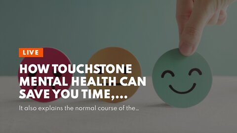 How Touchstone Mental Health can Save You Time, Stress, and Money.