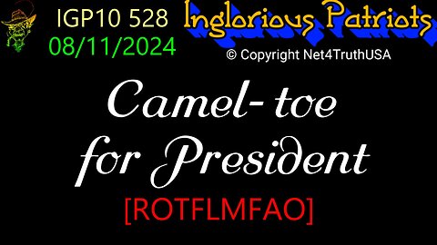 IGP 528 - Camel-Toe for President