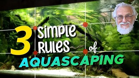 Turn Your Aquarium into a Masterpiece: Learn 3 Simple Rules.