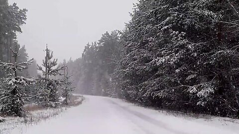 Snow | Winter | Nature | Relaxing