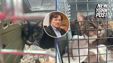 Gilgo Beach cops 'left cats of suspect Rex Heurmann's wife Asa Ellerup in kill shelter