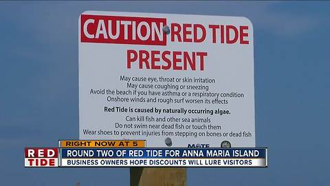 Anna Maria business owners banding together to help each other during red tide