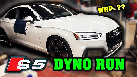 IT MADE HOW MUCH POWER?! - Stage 2 B9 Audi S5 Goes to the DYNO