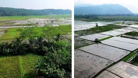 Drone Footage of Agricultural Land.