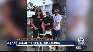 Celebrity chefs take part in event for dogs