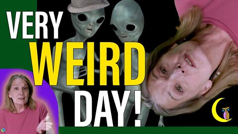 Vickie's Happy Place: Weirdest Day Ever!
