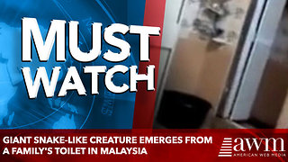 giant snake-like creature emerges from a family's TOILET in Malaysia