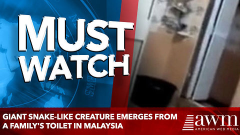 giant snake-like creature emerges from a family's TOILET in Malaysia