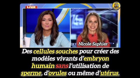 Nicole Saphier, embryon de cellules souches.