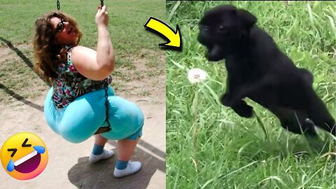 TRY NOT TO LAUGH 😆 The best selection of funny videos 😂😁😆