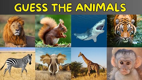 Guess The Animals Quiz | Animals Names