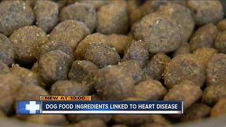 FDA: Certain dog food diets possibly linked to deadly heart disease