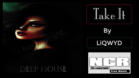 Take It (Deep House) by LiQWYD l Deep House for Vlogs l No Copyrighted Sounds I NCR