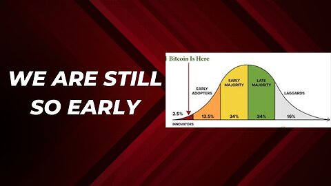 This is why we are still so early in Bitcoin adoption