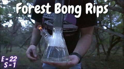 Forest Bong Rips