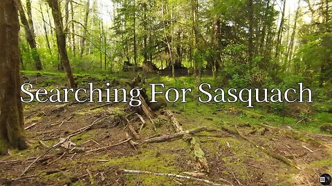 Have Drone Will Travel - Searching for Sasquatch