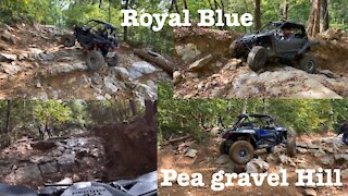 Royal Blue “Pea Gravel Hill”. YXZ/RZR’s.