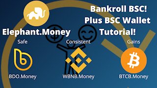 BSC Binance Chain Tutorial! BDO/Elephant.money Bankroll BSC Smart Contracts! Safe, Effective Growth!