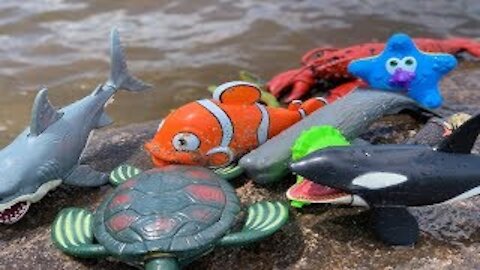 Sea Animal toys in this Summer at the Shore