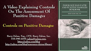 A Video Explaining the Controls on Punitive Damages