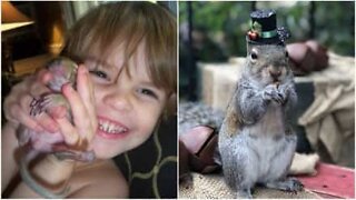 Squirrel keeps visiting family who rescued it eight years ago