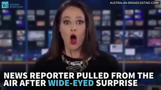 News Reporter Pulled From The Air After Wide-Eyed Surprise