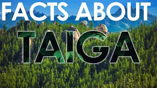 FACTS ABOUT TAIGA FOREST | WORLDS SECOND LARGEST FORET | NORTH AMERICAN FOREST | FACTS | NATURE