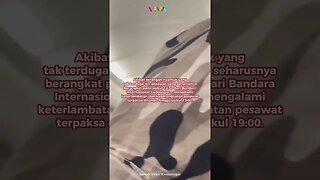 Heboh, Kabin Pesawat Diserang Kawanan Nyamuk Saat Terbang #viral #nyamuk #pesawat