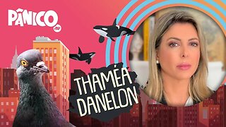 THAMÉA DANELON - PÂNICO - 06/04/21