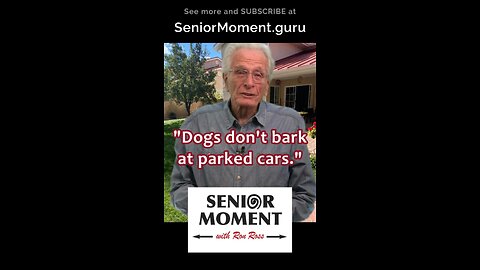 Dogs don't Bark at Parked Cars
