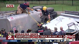 Overturned cattle truck on Highway 412
