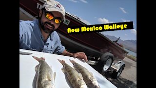 Catching Walleye at Caballo Lake, NM- Spoonplugging