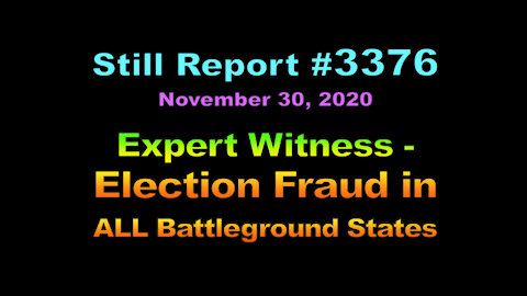 Expert Witness - Election Fraud in All Battleground States , 3376