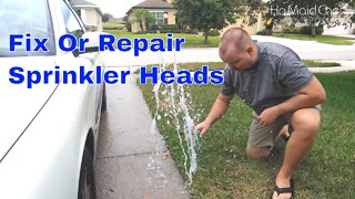 How To Fix Or Replace Sprinkler Head