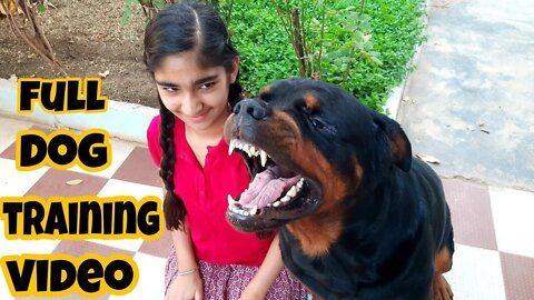 dog showing all training skills |well trained dog ||dog protection skill #VIRAL