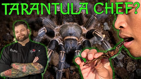 CHEF Stops By For TARANTULA RECIPE Ideas!