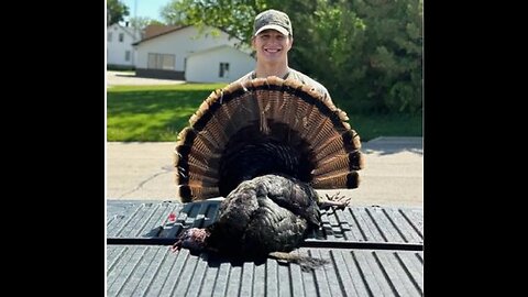 Making turkey dinner the hard way... 1st step, get a turkey.