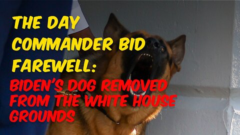The Day Commander Bid Farewell: Biden's Dog Removed from the White House Grounds [News Fox Report]