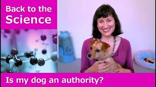 Logical fallacies EXPOSED! #6 The appeal to (false) authority fallacy