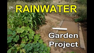 Rainwater Gardening Project - Desert Permaculture 2014