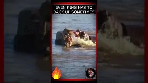 Even KING has to back up sometimes