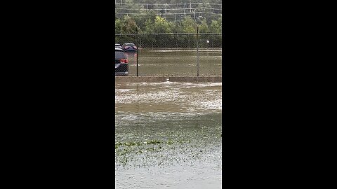 Flooding downtown in St. John’s, ML