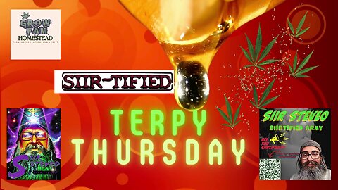 SIIRTIFIED TERPY THURSDAYS WITH SIIR STEVEO EPISODE 24 ASHLEY AND RASTA